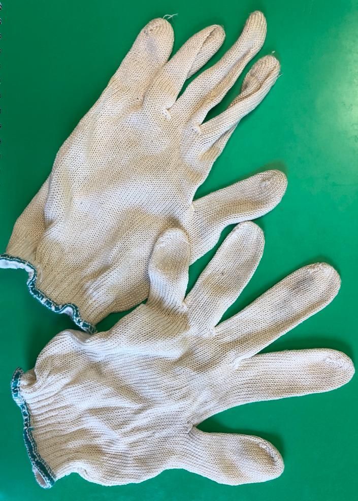 DermaSilk Handschuhe hinten