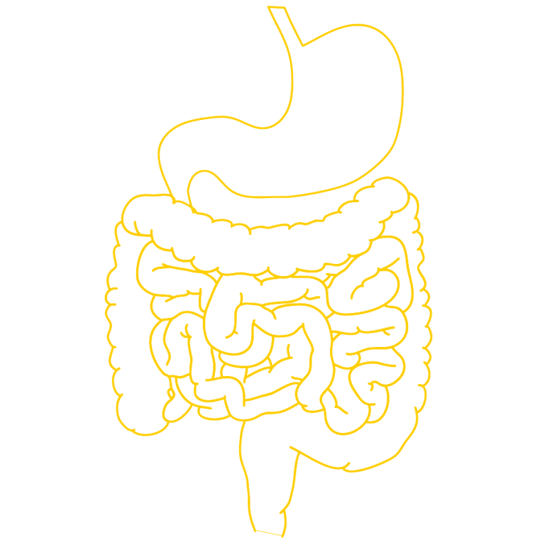 L. reuteri DSM 17938